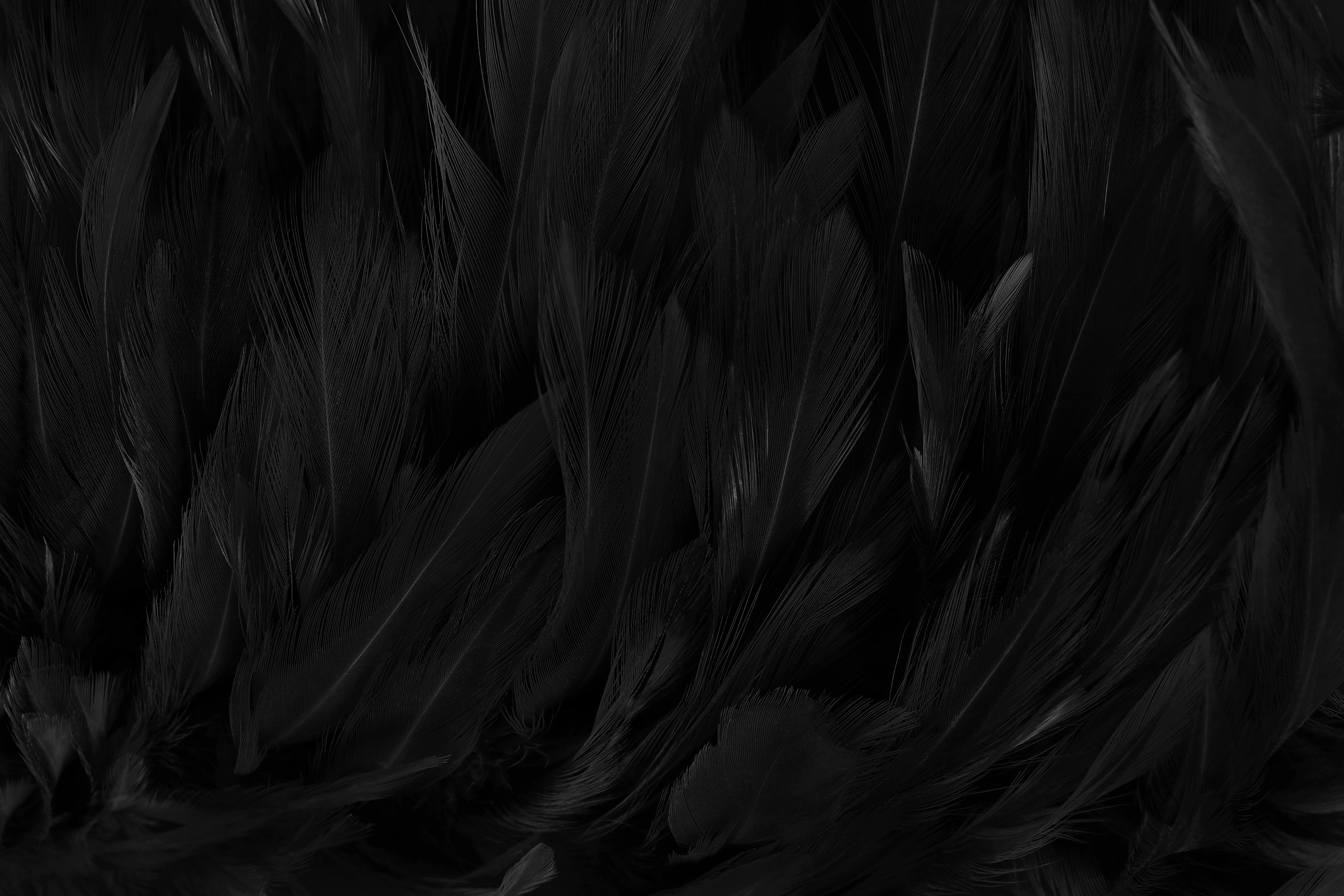 Фоновое изображение