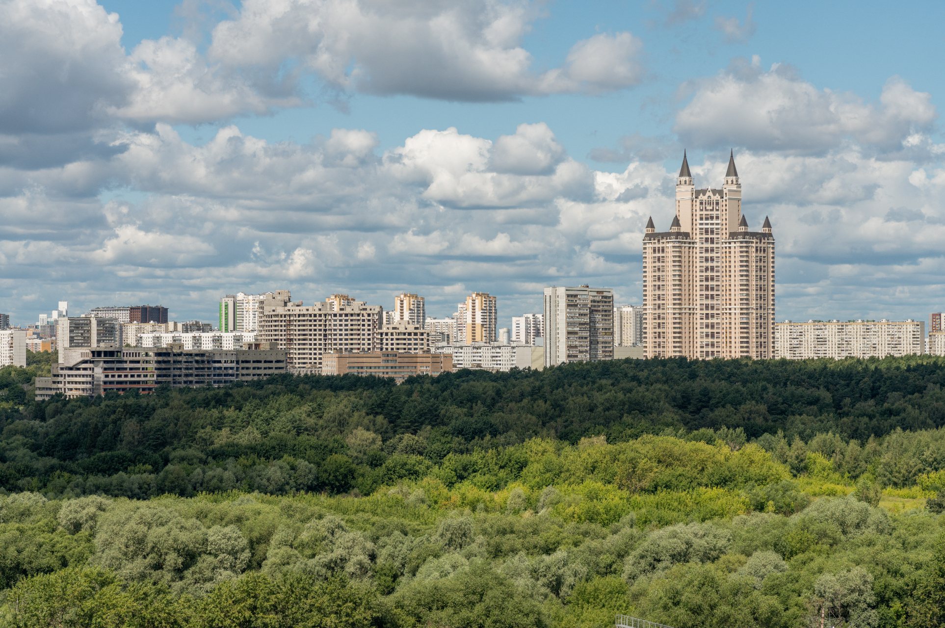 Панорамные виды на заказник с величественными деревьями