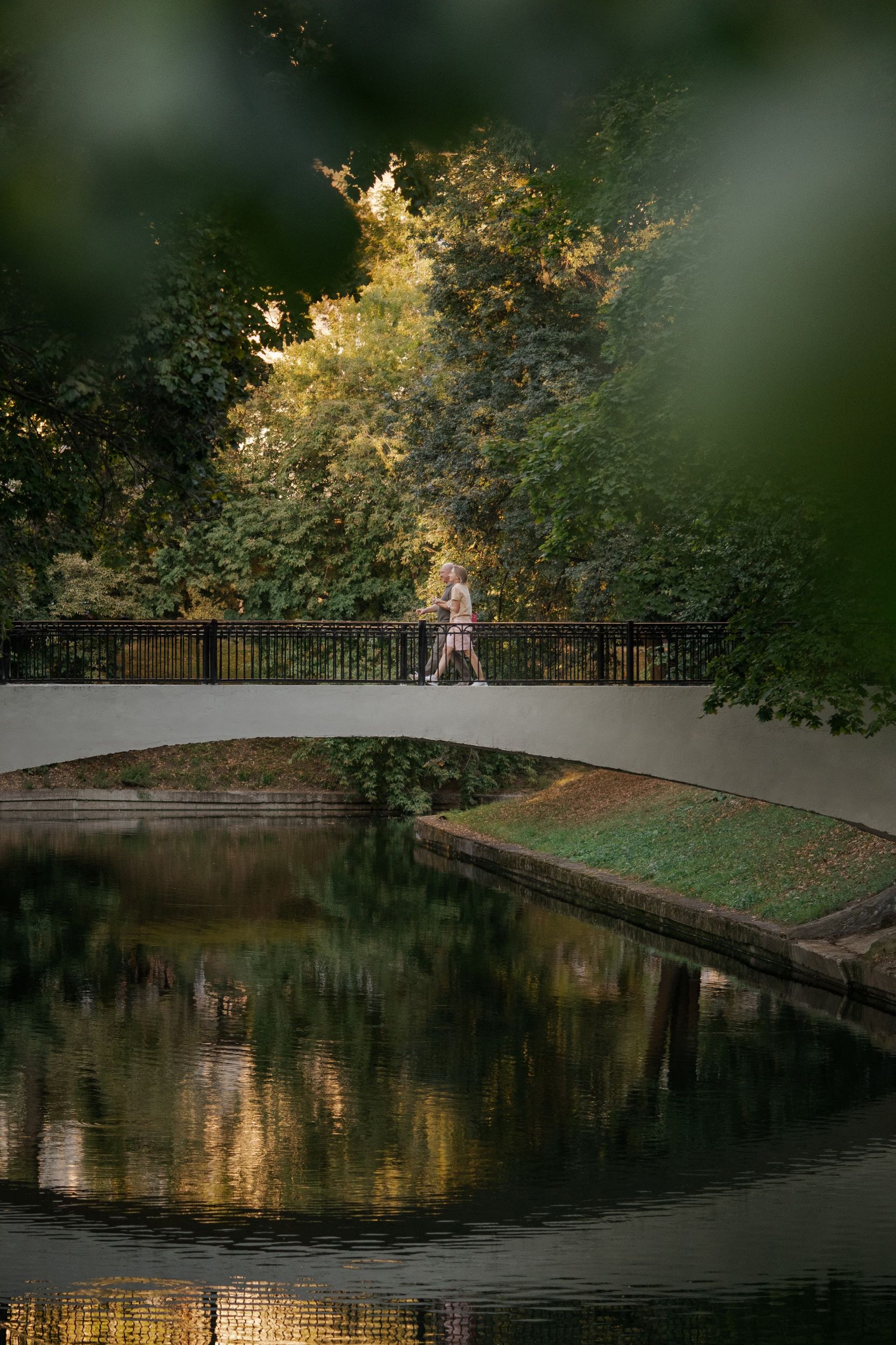 Фоновая картинка с видом undefined